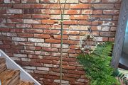 Floor lamp brass( have 2)