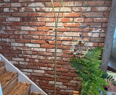 Floor lamp brass( have 2)