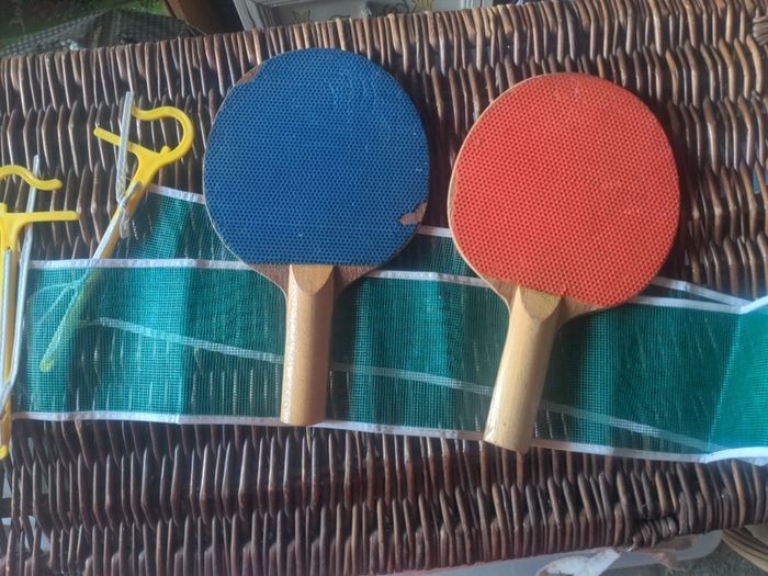 Table tennis bats and net