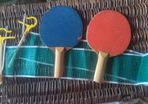 Table tennis bats and net