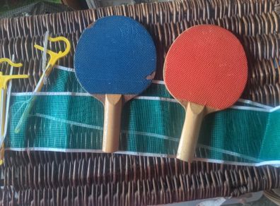 Table tennis bats and net