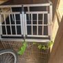 dog bed and crate Image 2