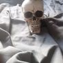 Ceramic skull Image 2