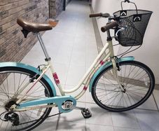 ladies city bike( can deliver)