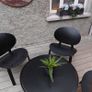 Coffee Table & Chairs Image 2
