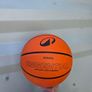 Sports balls - football gaelic basketball Image 3