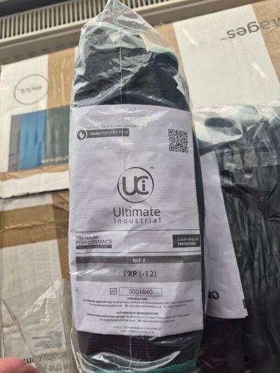 gloves  10 pack