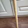 Walking stick Image 5