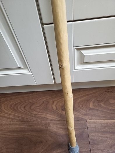 Walking stick