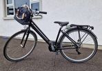 Raleigh Pioneer Grand Tour