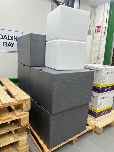 Styrofoam storage boxes