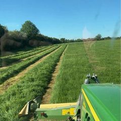 Silage