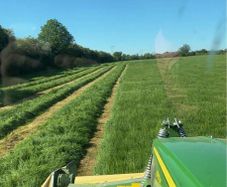 Silage
