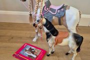 Our generation horse