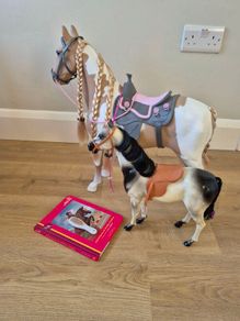 Our generation horse