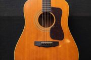 Guild D-40NT 1977 - Natural