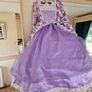 fancy dress size 3 to 4 years Image 5