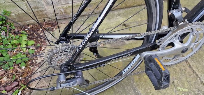 adult Bike