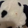 teddy Image 3