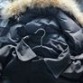 Canada goose Image 3