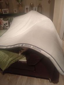 mattress topper