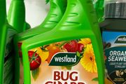 Bug Spray