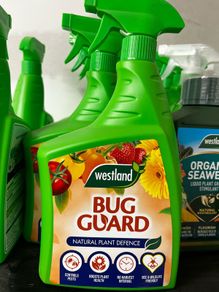 Bug Spray