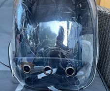 pet carrier backpack