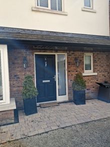 buxus trees
