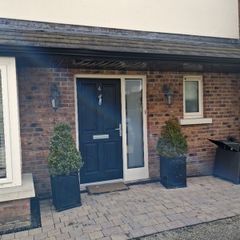 buxus trees