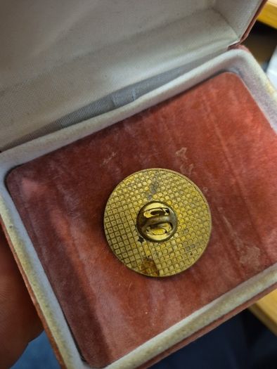 Vintage 1992 Munster School Girls League Pin