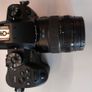 Panasonic Lumix GH5 Body Image 2