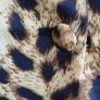 MISSGUIDED boxy oversized leopard print blazer Sz 10UK (Fit 10-12UK) Bnwt RRp 30 Image 7