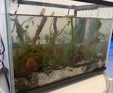 17L fish tank