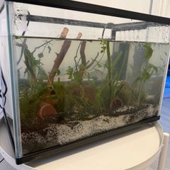 17L fish tank