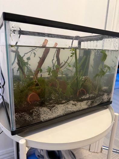 17L fish tank