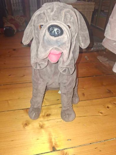 collector Teddies