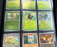 Pokmon Cards