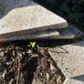 Granite off cuts Image 2