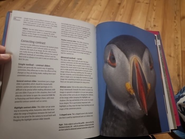 Understanding RAW Photography (Hardcover)