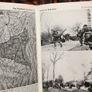 The War in Pictures Image 2