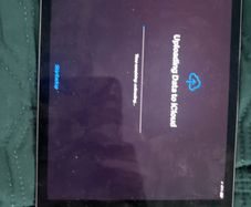 ipad mini 5