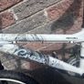 Apollo Mountain Bike Image 2