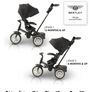 trike Image 2