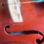 Skylark Violin Image 4