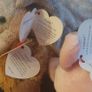 Collection of Beanie Babies Image 8