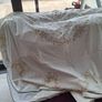 Eternal Beau Tablecloth & Napkins Image 2