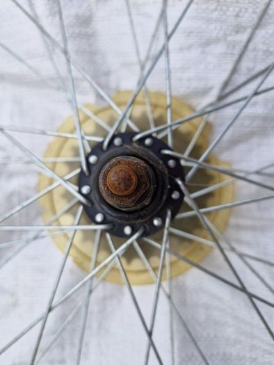 Bicycle Wheels