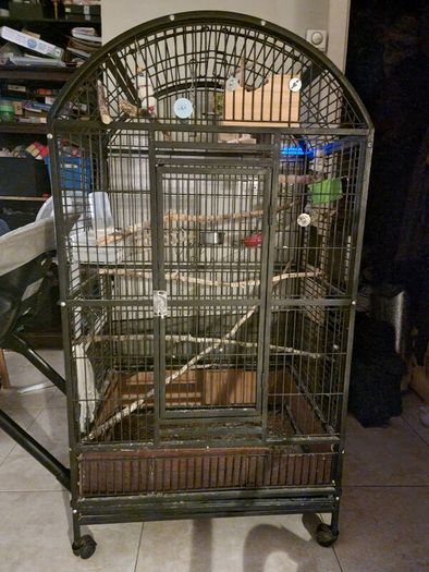 Bird's cage
