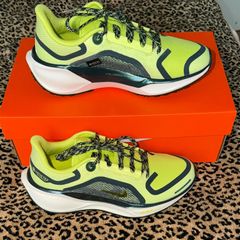 Nike Pegasus Gore-tex
